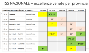 TSS nazionale - eccellenze venete per provincia